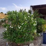 Katoikia Spathi (Kea)