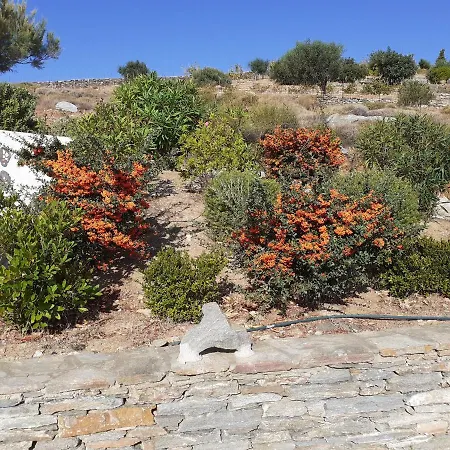 Katoikia * Spathi (Kea)