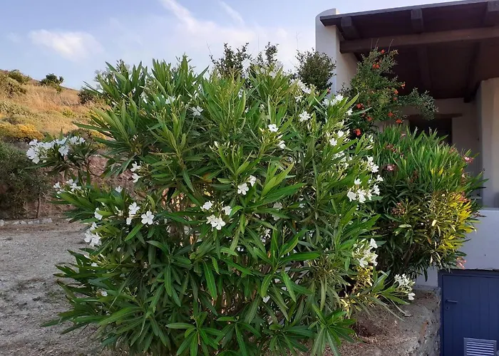 Katoikia Spathi (Kea)