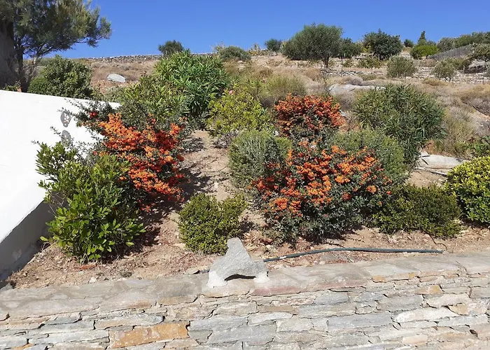 Katoikia * Spathi (Kea)